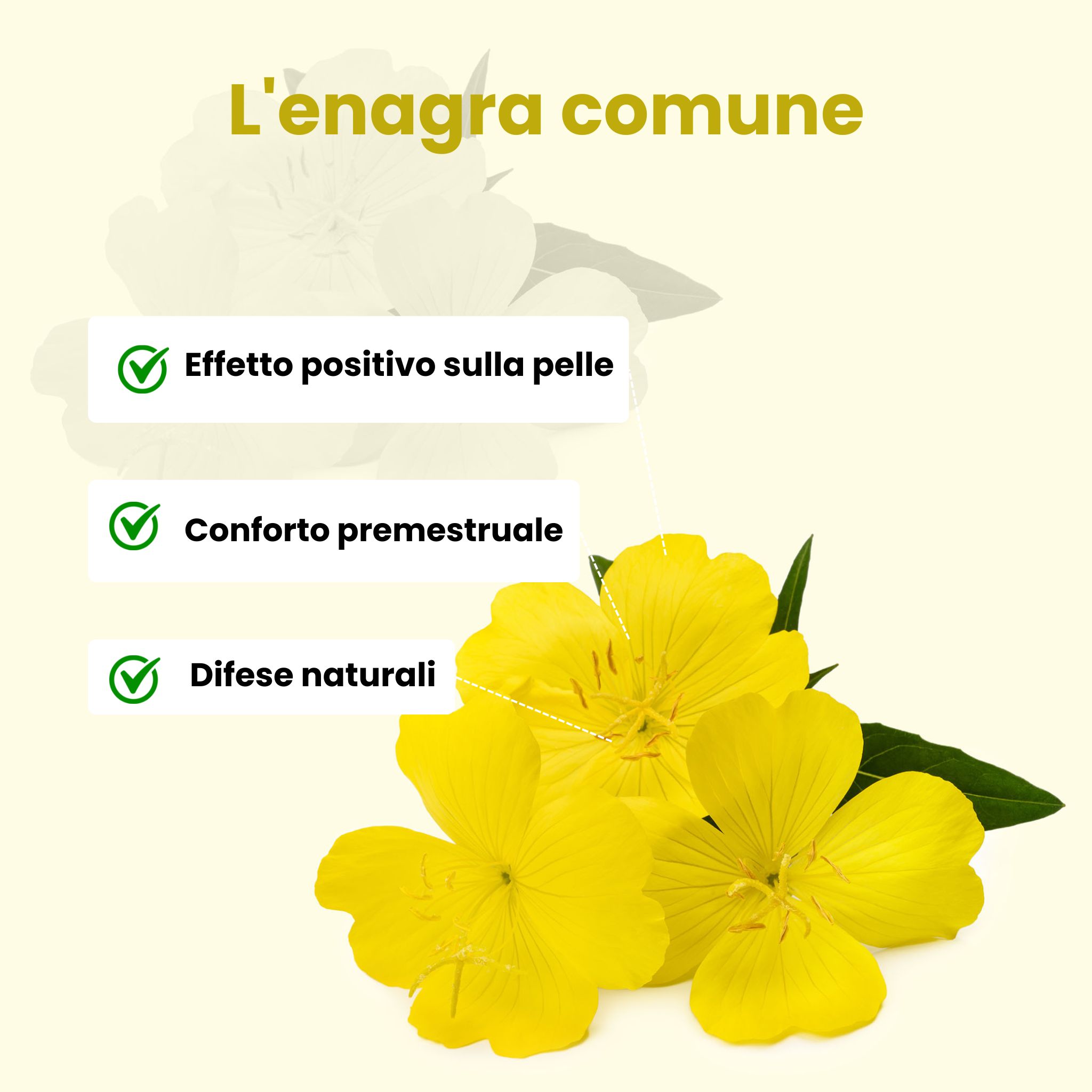 (Italian) Pupalka